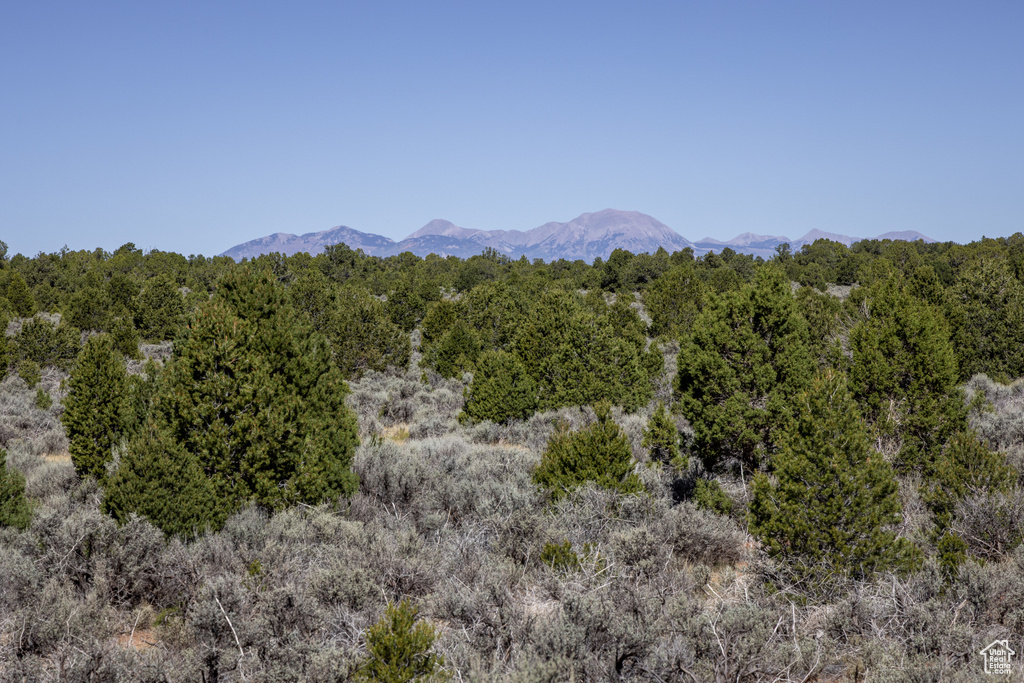 1250 W SUMMIT RD Monticello, UT 84535