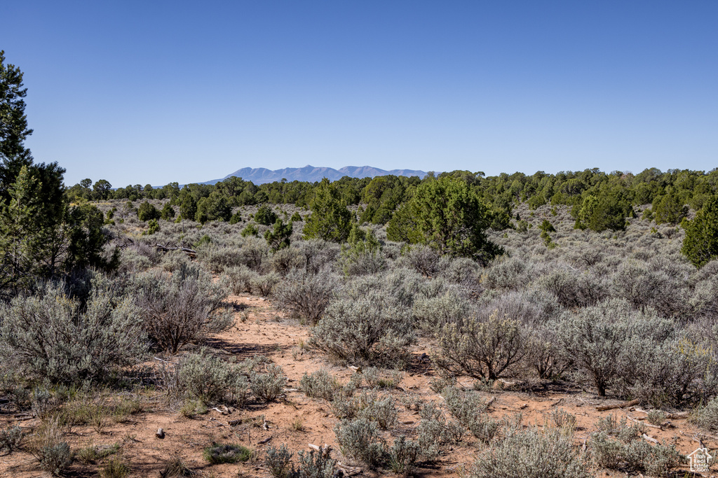 1250 W SUMMIT RD Monticello, UT 84535