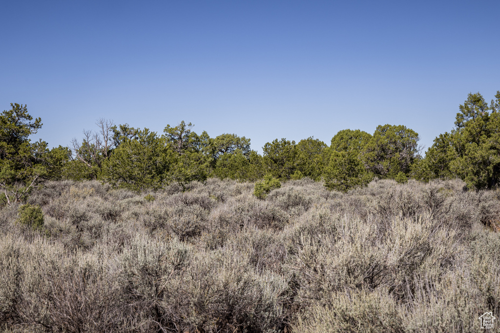 1250 W SUMMIT RD Monticello, UT 84535