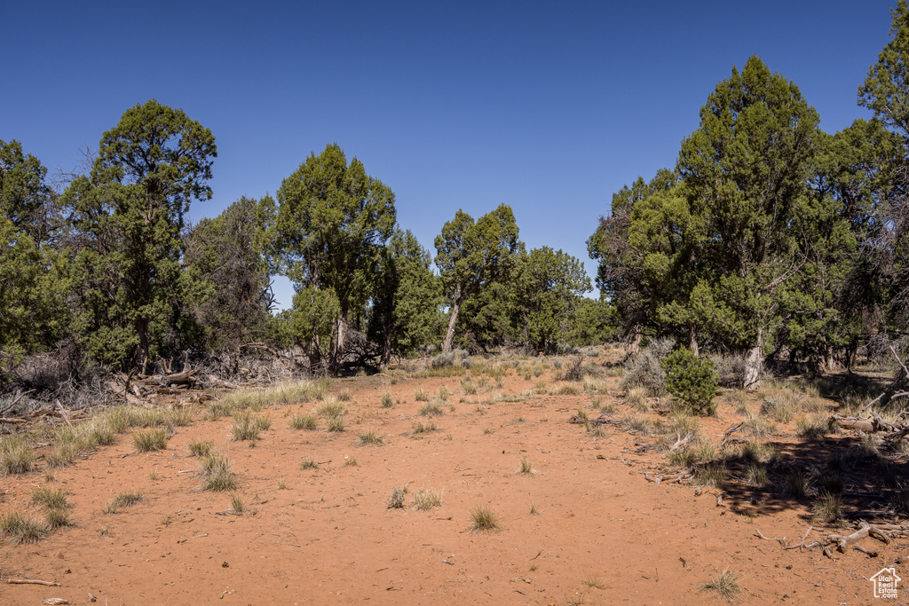 1250 W SUMMIT RD Monticello, UT 84535