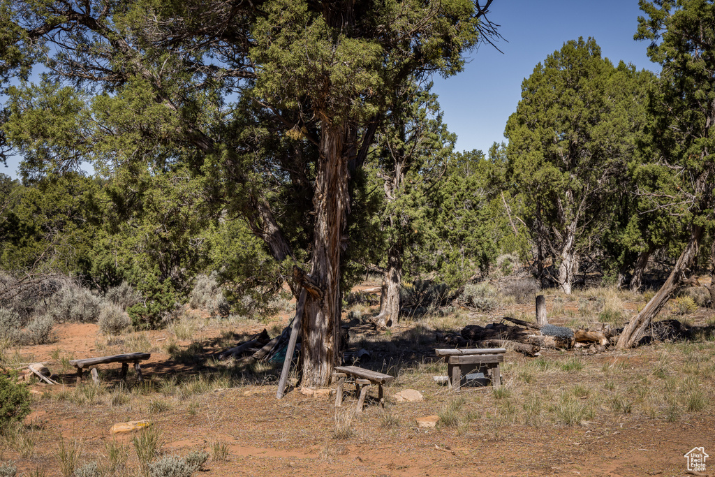 1250 W SUMMIT RD Monticello, UT 84535