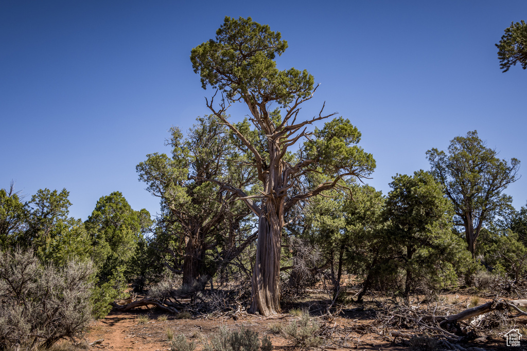 1250 W SUMMIT RD Monticello, UT 84535