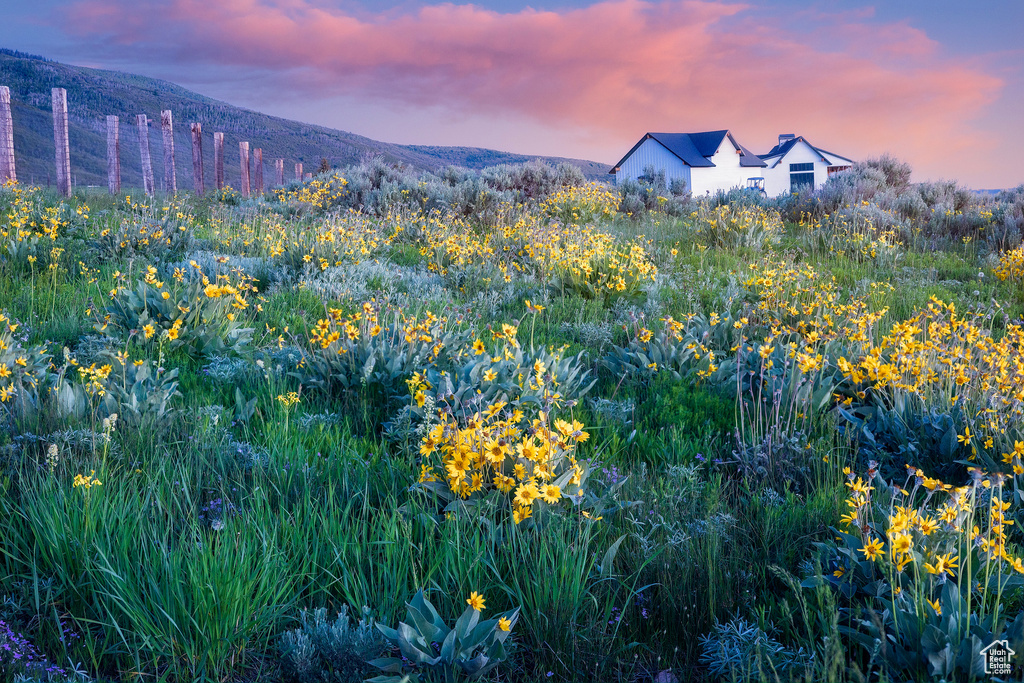 1115 E HOYT PEAK RANCH RD Marion, UT 84036