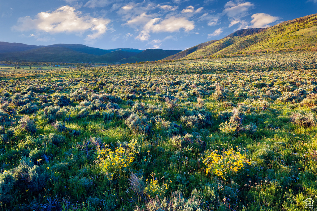 1115 E HOYT PEAK RANCH RD Marion, UT 84036