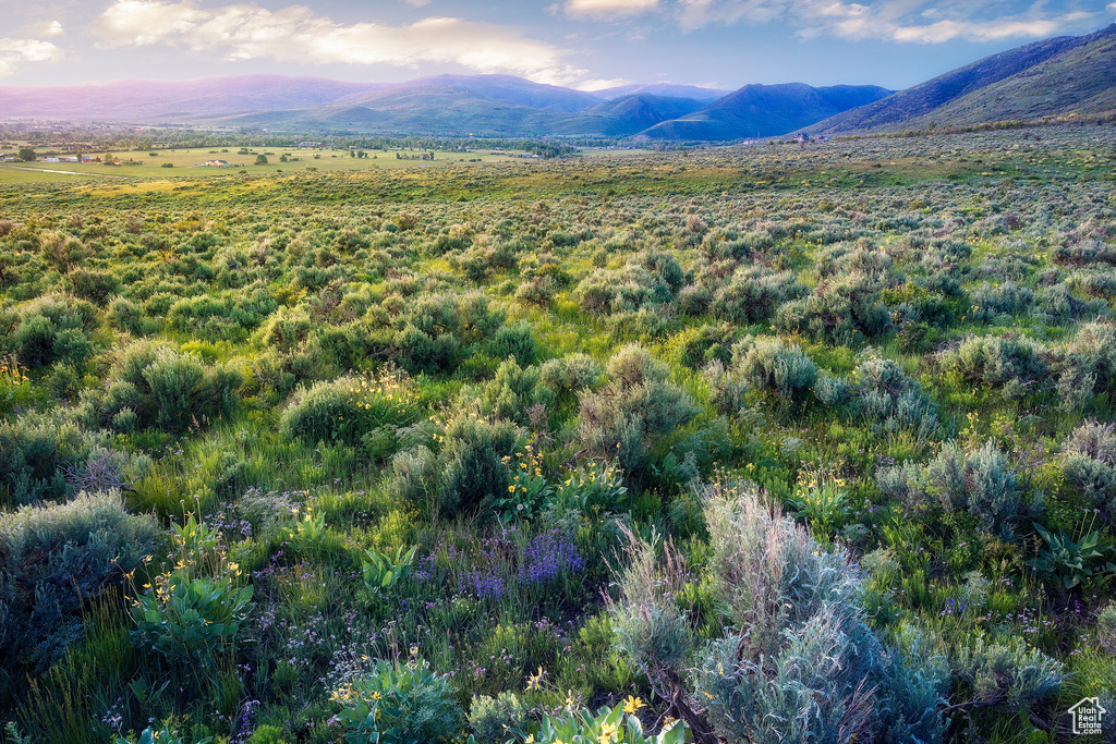 1115 E HOYT PEAK RANCH RD Marion, UT 84036