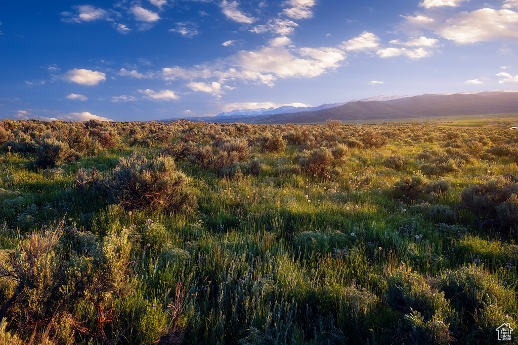 1115 E HOYT PEAK RANCH RD Marion, UT 84036