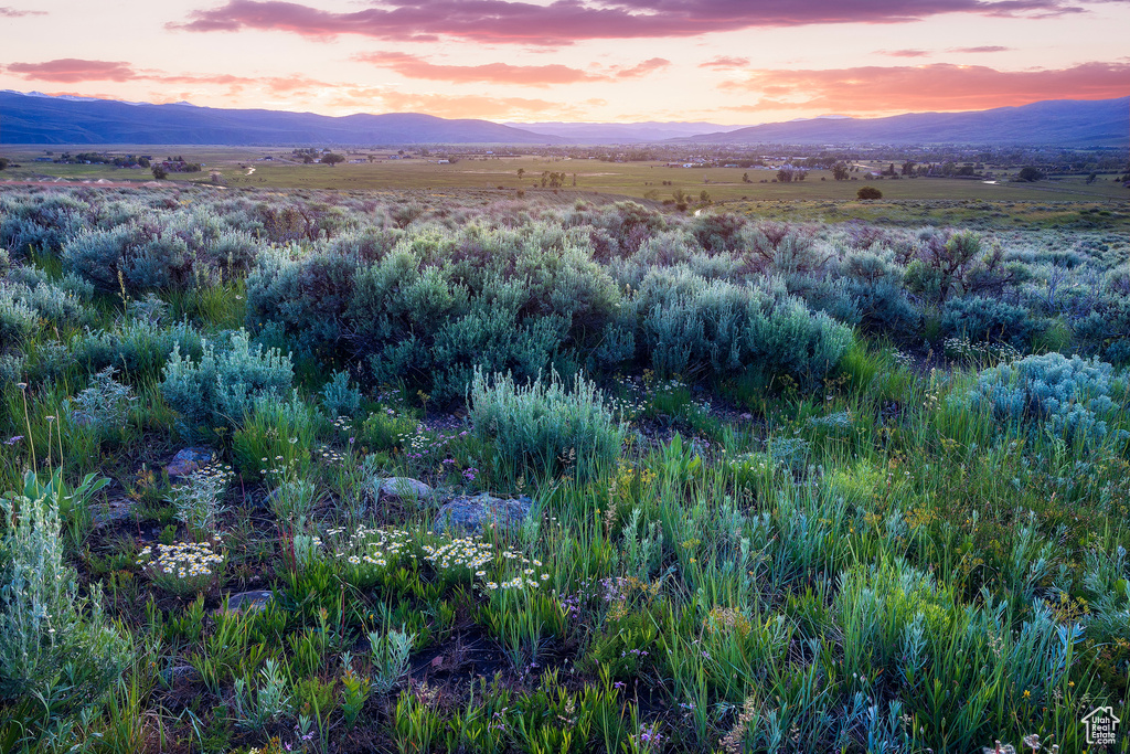 1115 E HOYT PEAK RANCH RD Marion, UT 84036