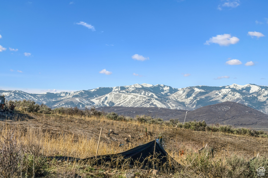 Photo 18 for MLS #2116084 at 3101 Hills Ridge Rd