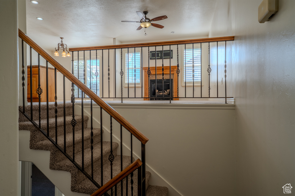 Photo 26 for MLS #2116085 at 1287 W Milky Hollow Ln
