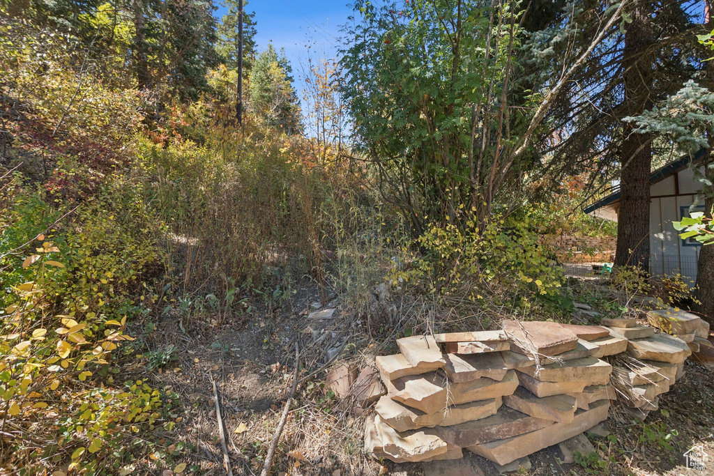 Photo 6 for MLS #2116086 at 135 Crestview Dr