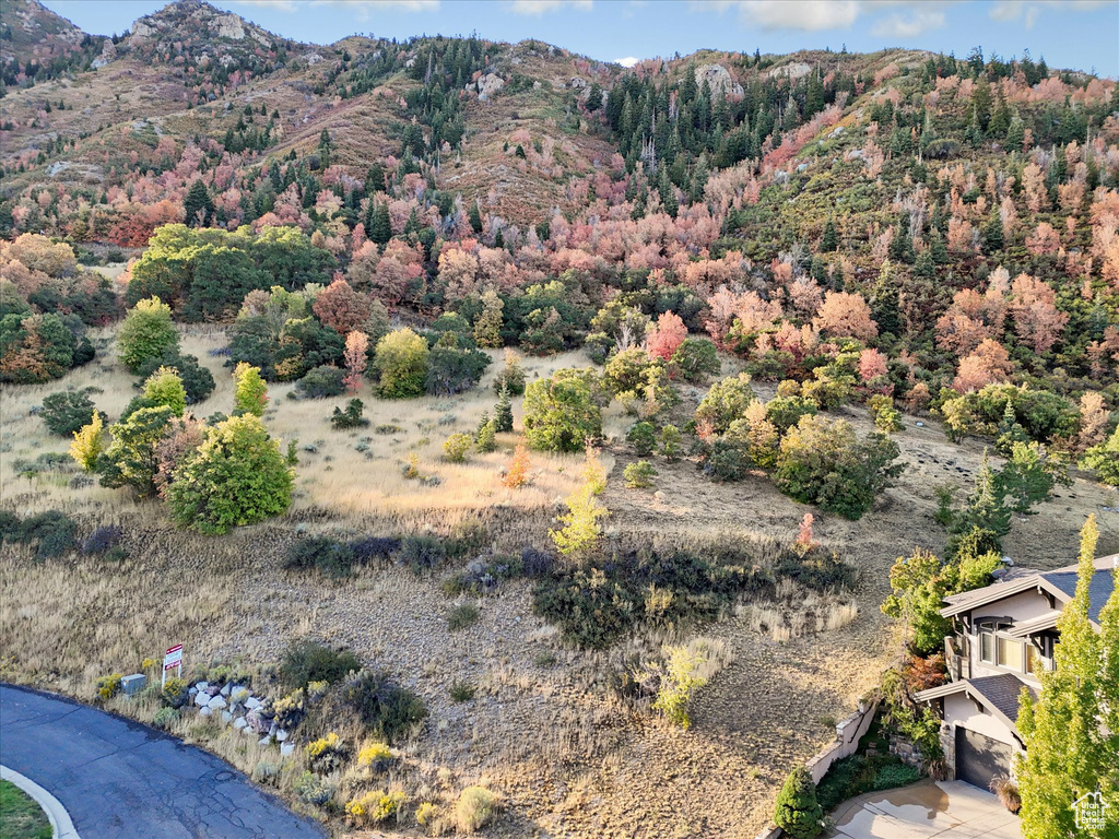 3738 E CATAMOUNT RIDGE WAY Sandy, UT 84092