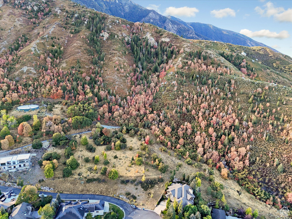 3738 E CATAMOUNT RIDGE WAY Sandy, UT 84092