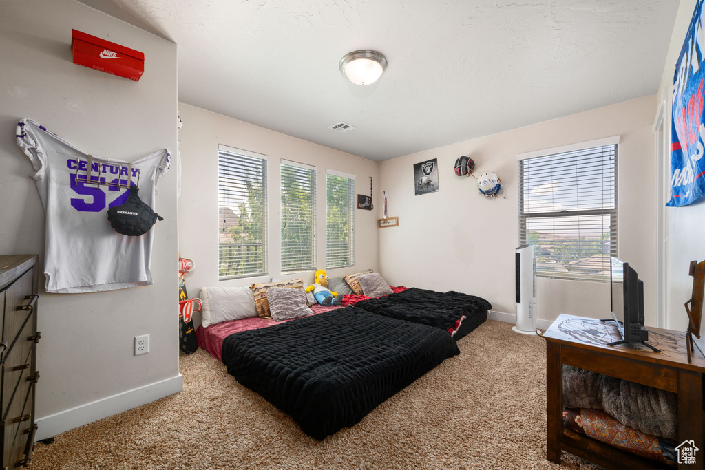 Photo 29 for MLS #2116094 at 548 S Haley Dr