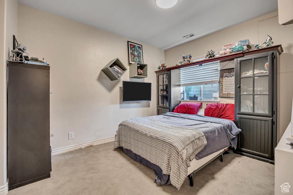 Photo 41 for MLS #2116139 at 2868 S Cottontail Loop
