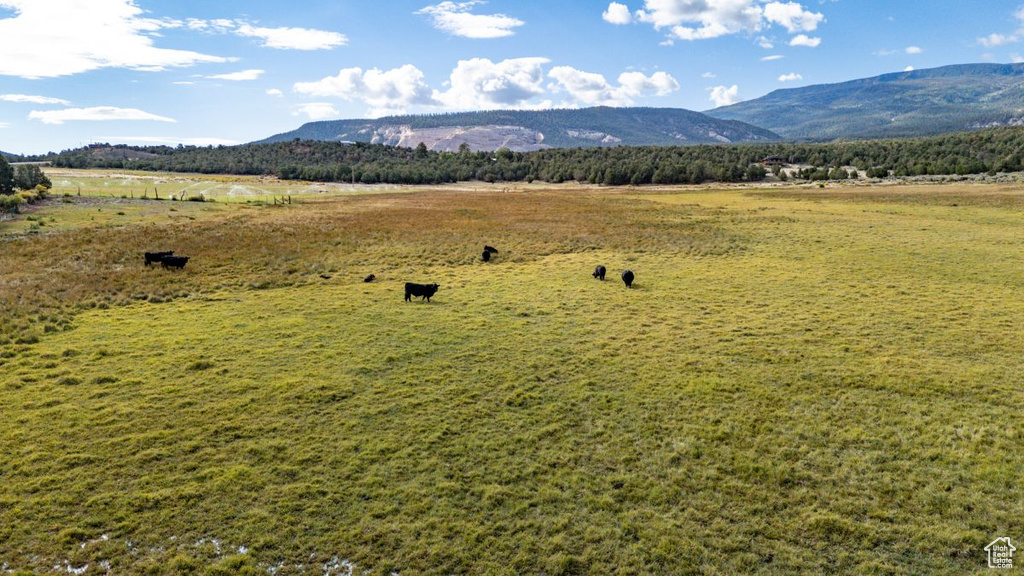 251 W HIGHWAY 12 ST Grover, UT 84773