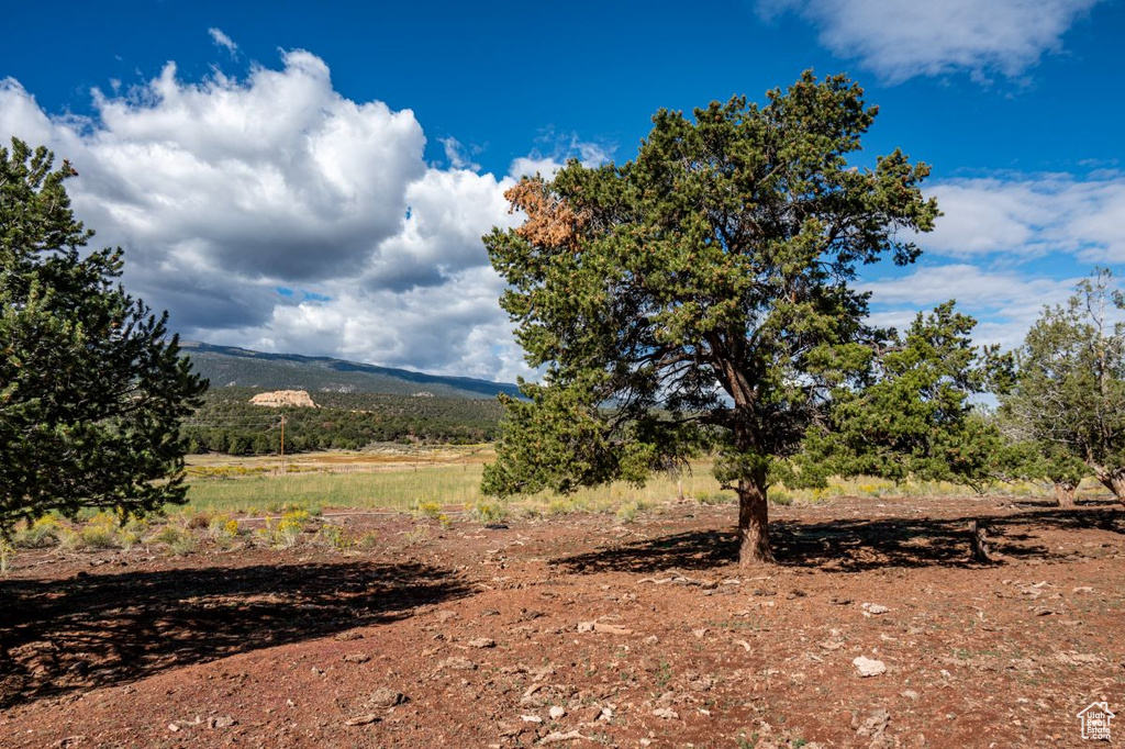 251 W HIGHWAY 12 ST Grover, UT 84773