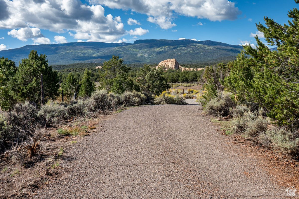 251 W HIGHWAY 12 ST Grover, UT 84773