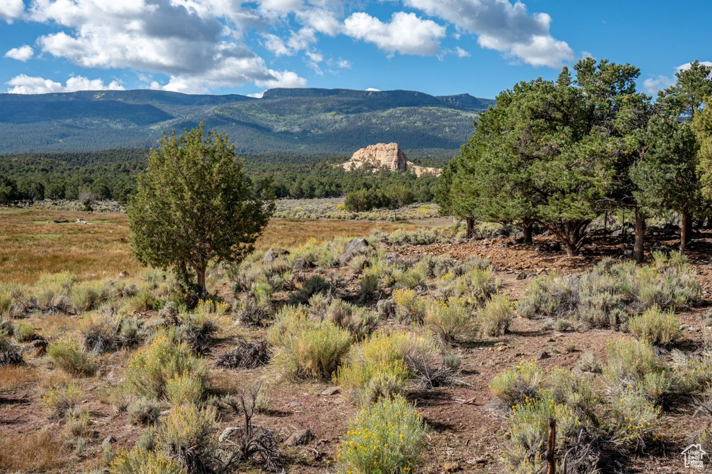 251 W HIGHWAY 12 ST Grover, UT 84773