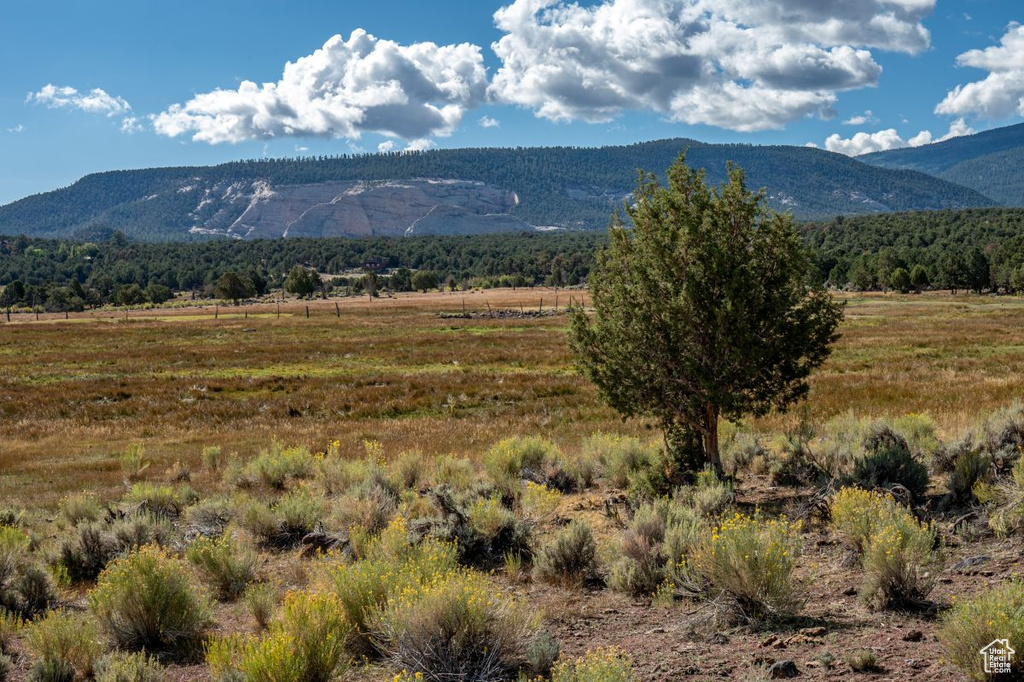 251 W HIGHWAY 12 ST Grover, UT 84773