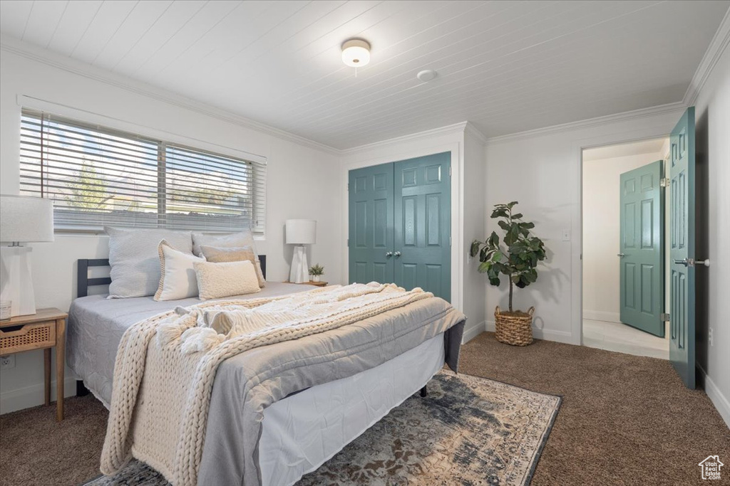 Photo 47 for MLS #2116152 at 1063 E Alpine Dr
