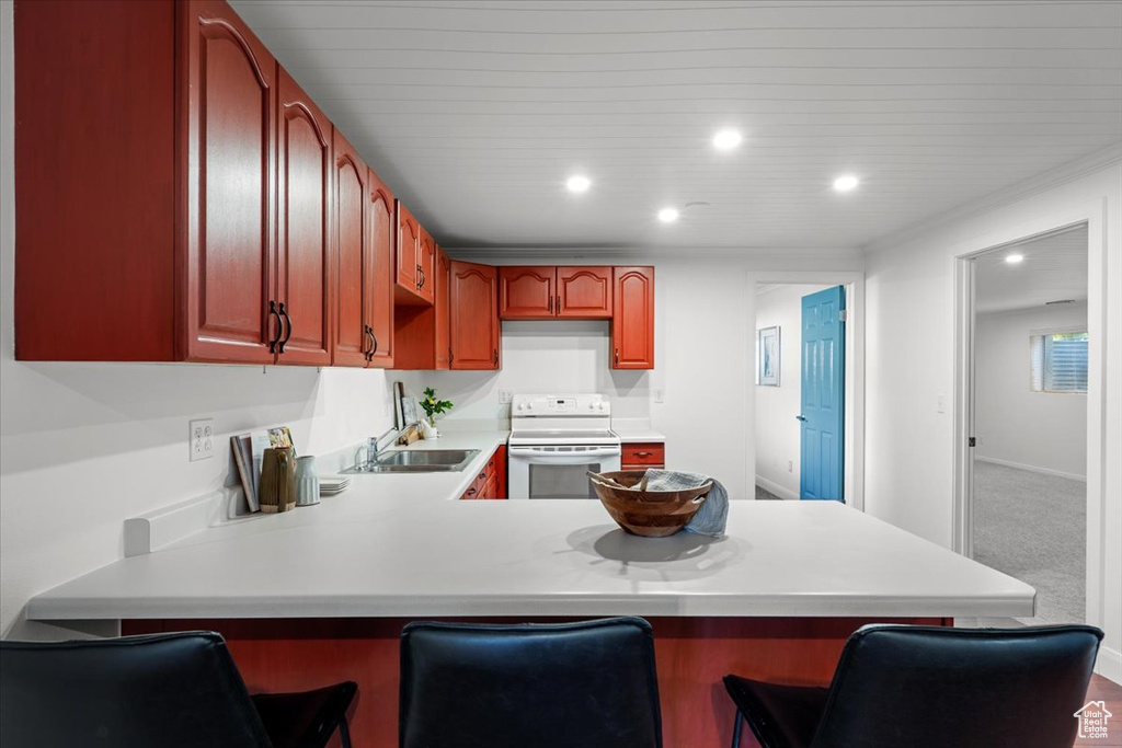 Photo 50 for MLS #2116152 at 1063 E Alpine Dr