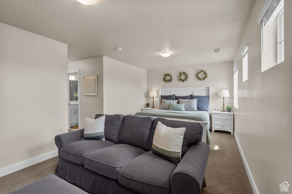 Photo 14 for MLS #2116174 at 1231 N Mistico Aly