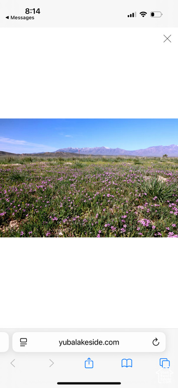 13051 S RED CANYON RD Levan, UT 84639