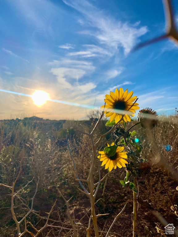 113 S AVIKAN HILLS DR Blanding, UT 84511