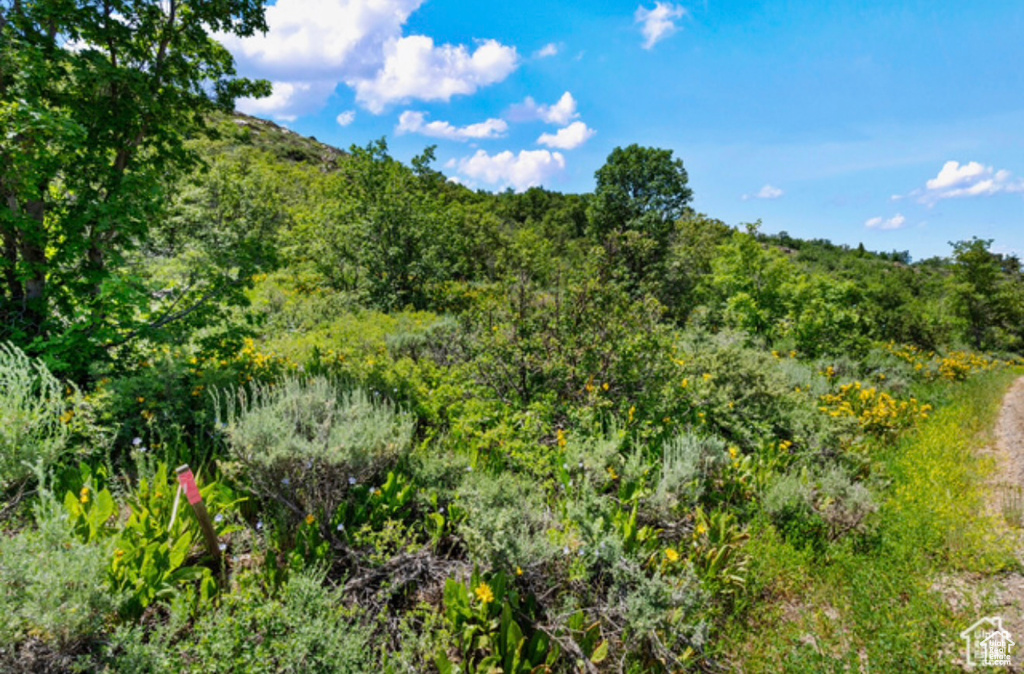 861  LAKEVIEW DR Garden City, UT 84028