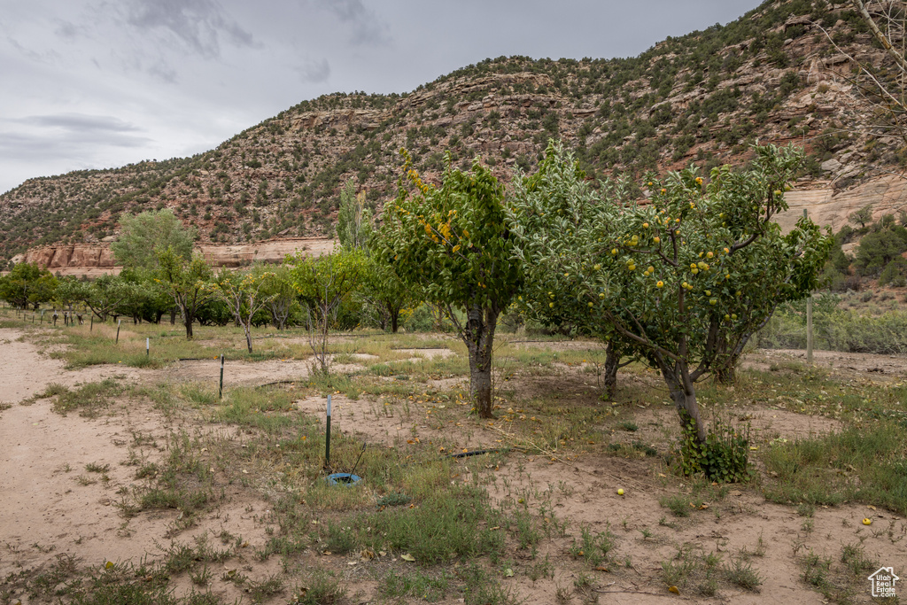 Photo 89 for MLS #2116232 at 1095 S Montezuma Canyon Rd