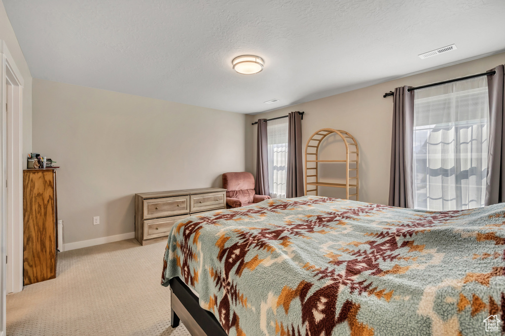 Photo 13 for MLS #2116245 at 11352 S 1385 West