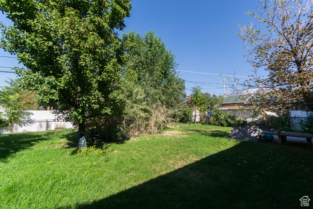 Photo 12 for MLS #2116258 at 915 E Galena Dr