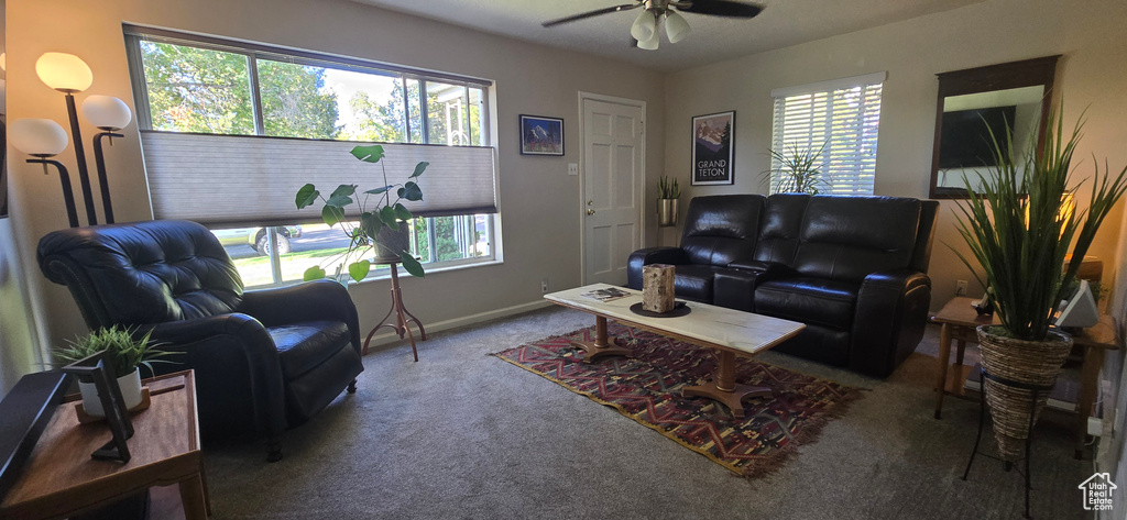 Photo 3 for MLS #2116261 at 1838 E Hillcrest Ave