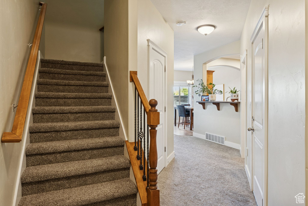 Photo 12 for MLS #2116278 at 6660 S Ryker Vista Ln