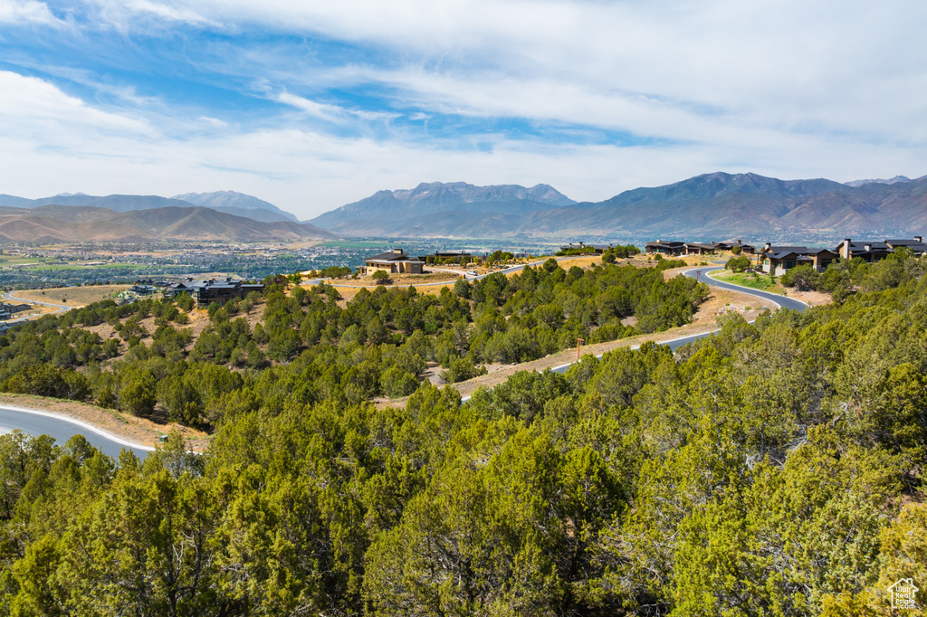 2653 E LA SAL PEAK DR Heber City, UT 84032