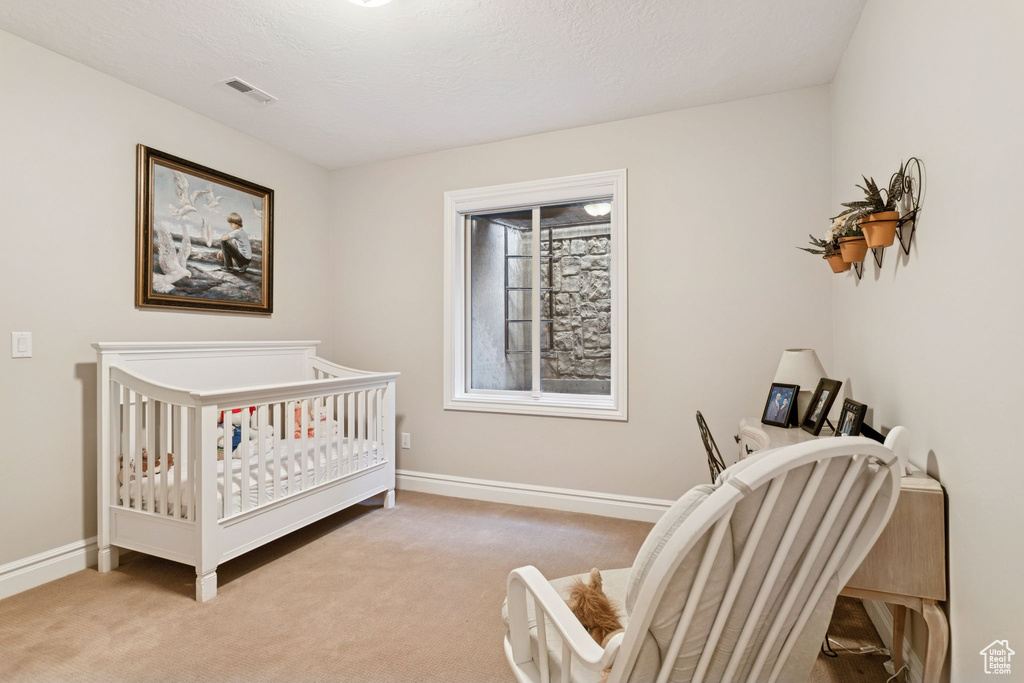 Photo 58 for MLS #2116282 at 3093 E Scenic Valley Ln