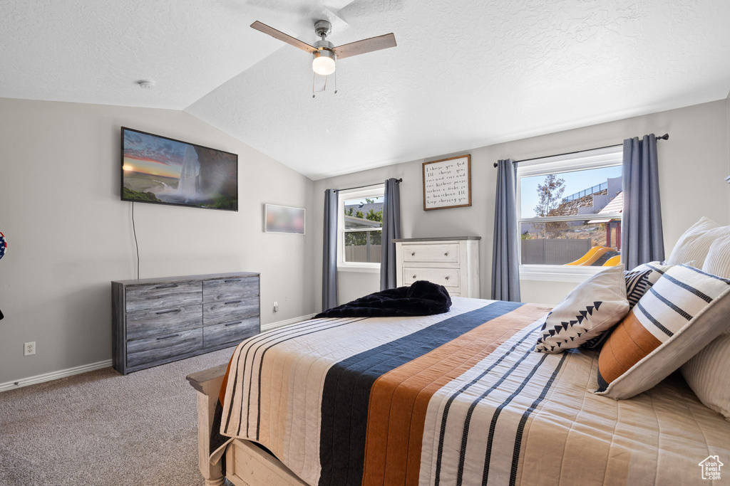 Photo 24 for MLS #2116302 at 2437 N Nectar Way