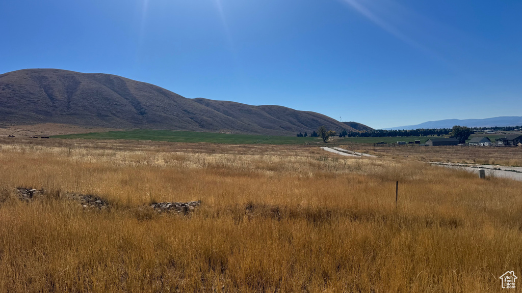 1292  MOOSE LOOP Montpelier, ID 83254