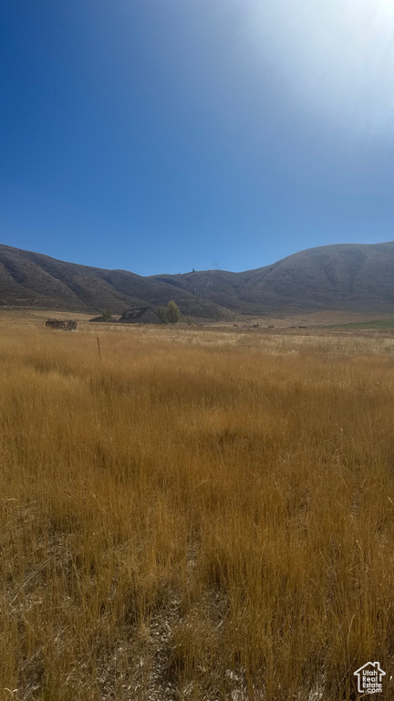 View photos for 1292 Moose Loop 1292 Moose Loop