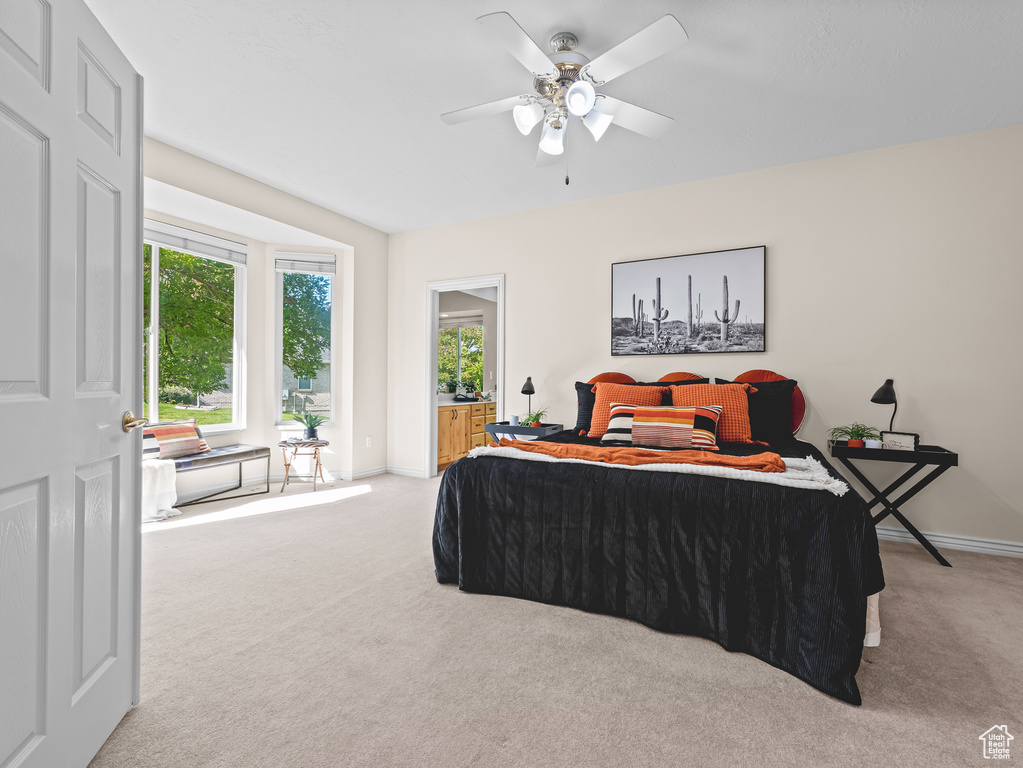 Photo 23 for MLS #2116325 at 455 E Rocky Mouth Ln