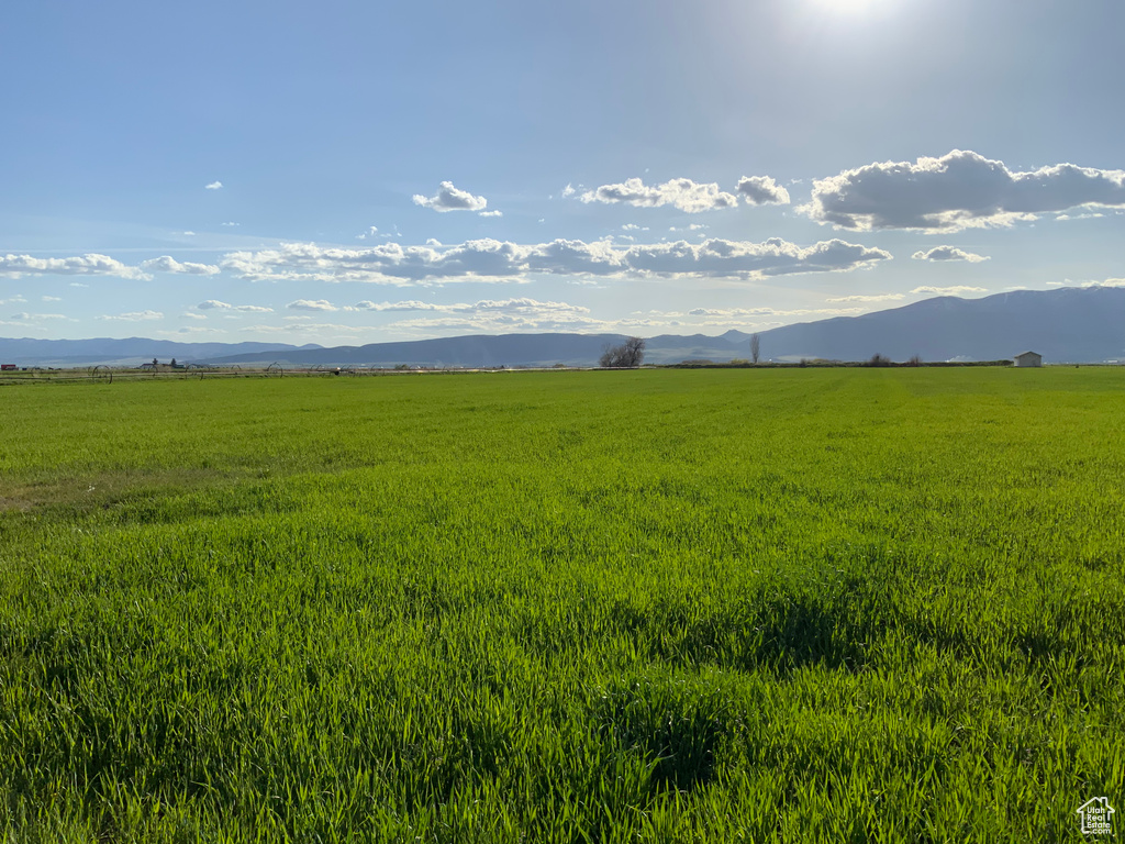 1114 N 800 W Preston, ID 83263