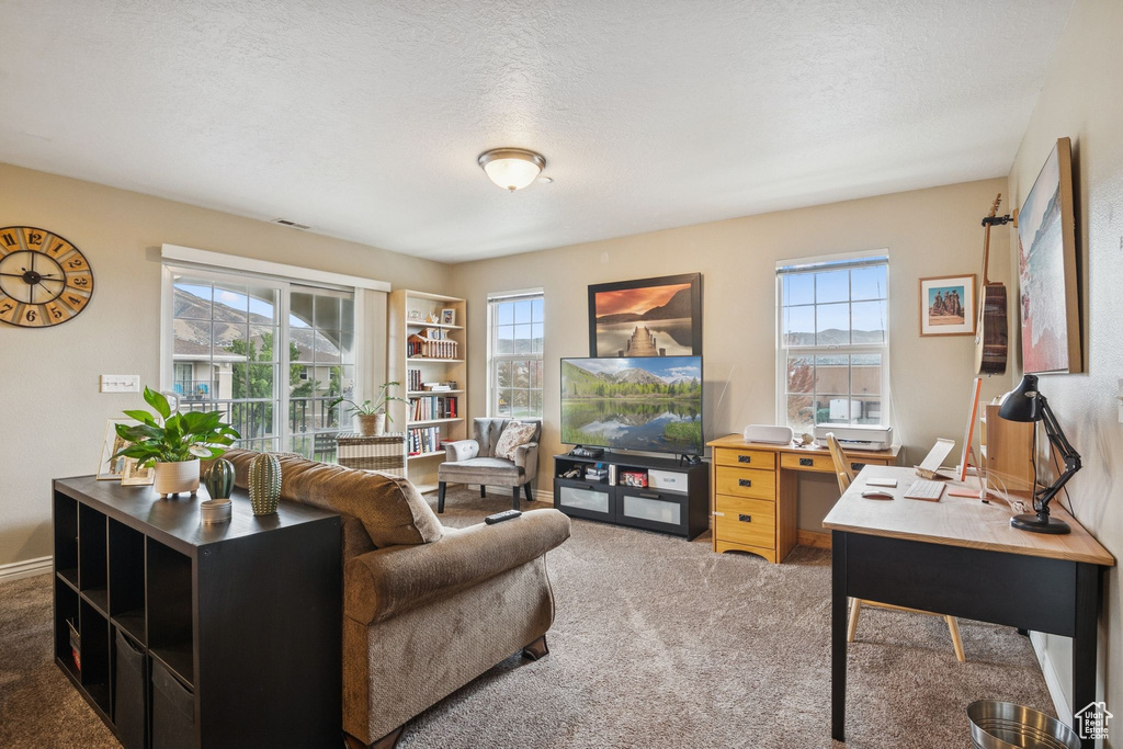 Photo 2 for MLS #2116355 at 164 E Spencer Peak Way #A12