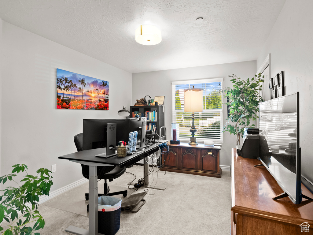 Photo 12 for MLS #2116364 at 11738 S Currant Dr #102