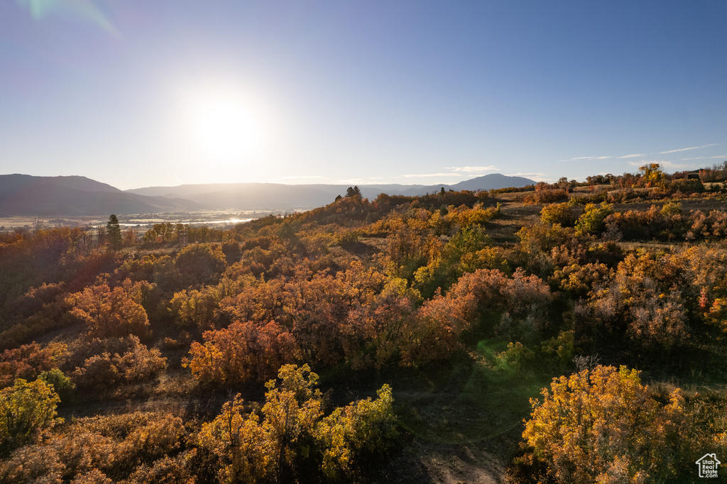 1874 N SHAMY WAY Eden, UT 84310