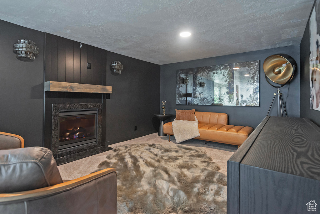 Photo 39 for MLS #2116407 at 8755 S Kings Hill Dr