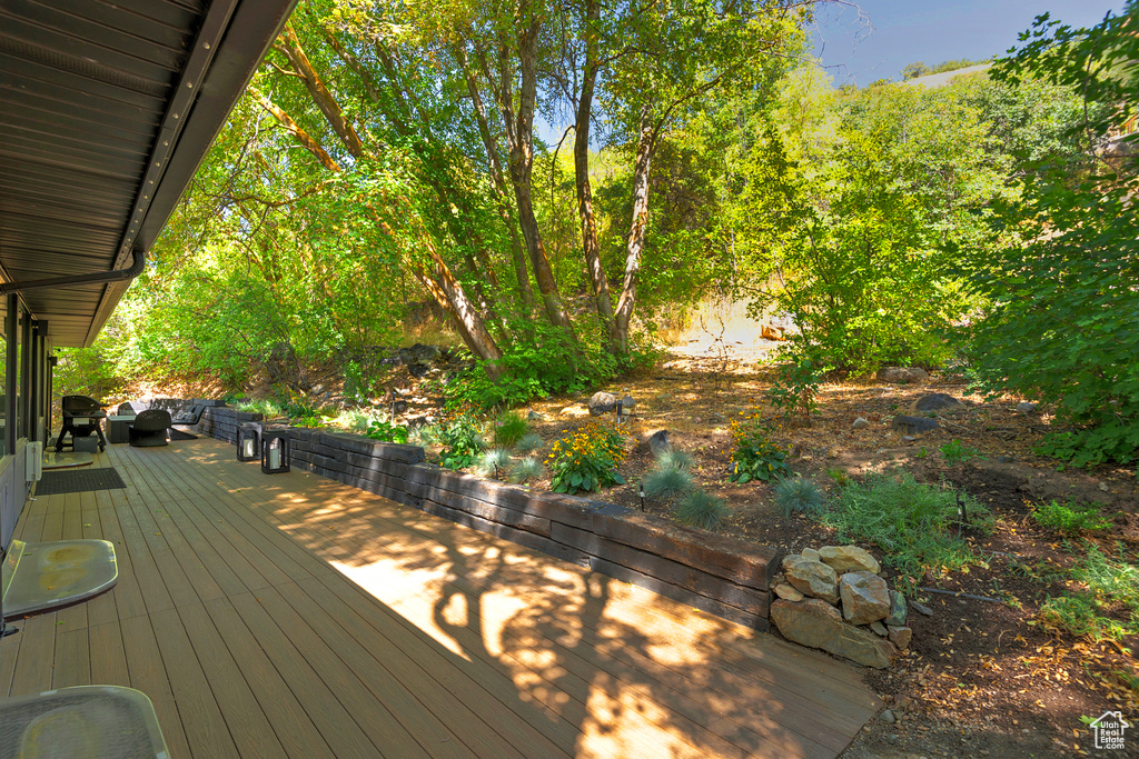 Photo 46 for MLS #2116407 at 8755 S Kings Hill Dr