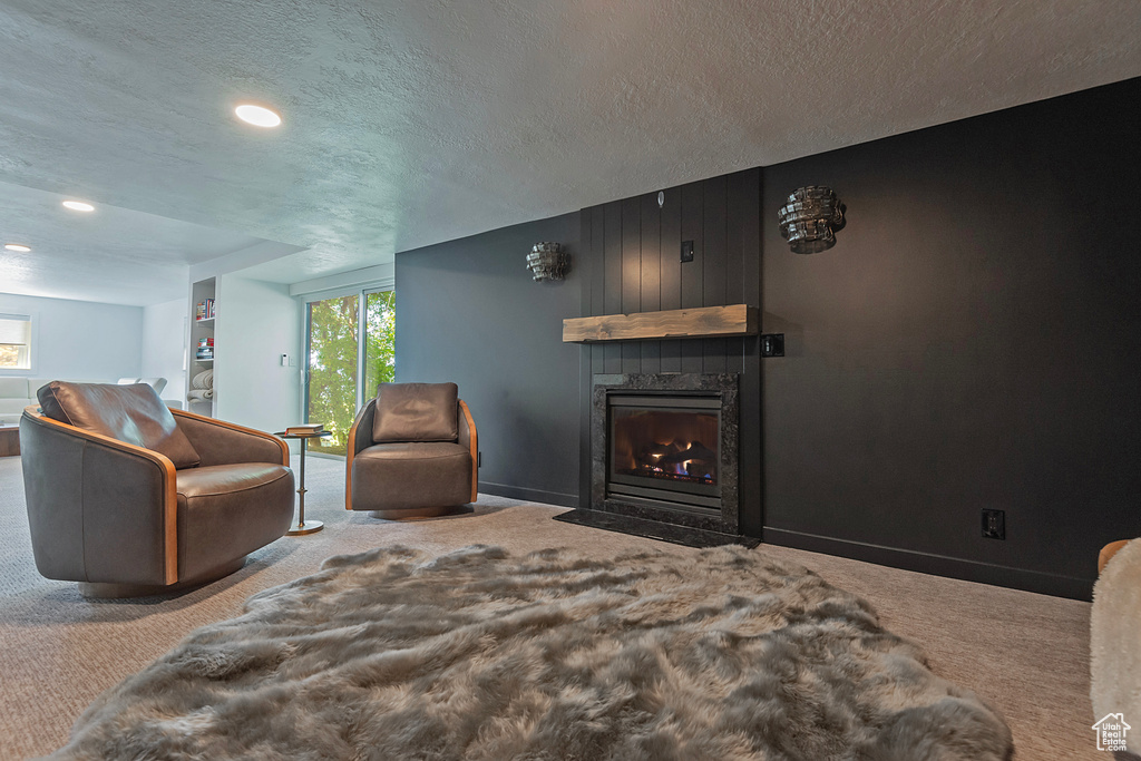 Photo 40 for MLS #2116407 at 8755 S Kings Hill Dr