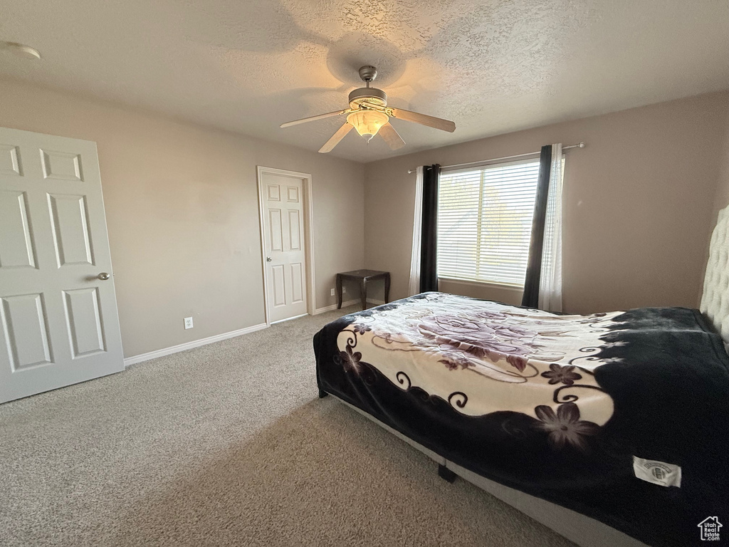 Photo 15 for MLS #2116428 at 4904 W Wild Acres Dr