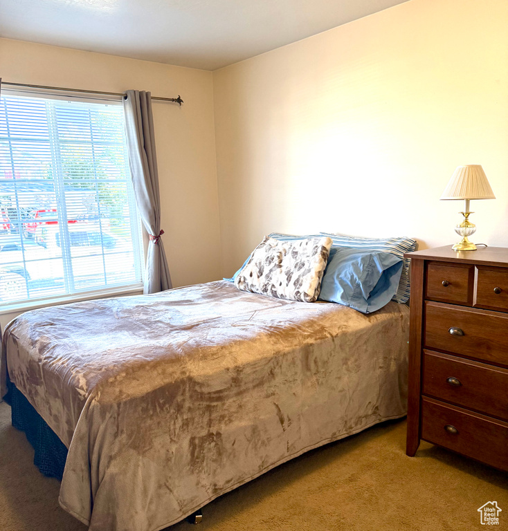 Photo 15 for MLS #2116431 at 13160 S Meadow Way