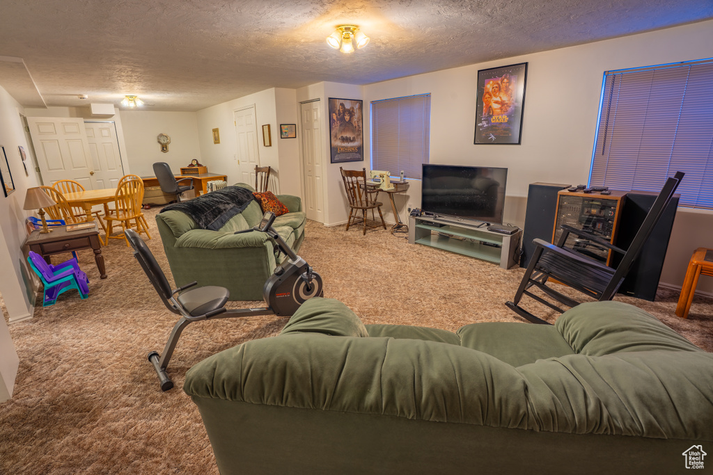 Photo 21 for MLS #2116431 at 13160 S Meadow Way